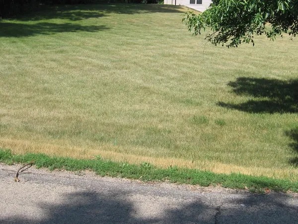 $51,300 | 1604 18th Street Southwest, Austin, MN 55912