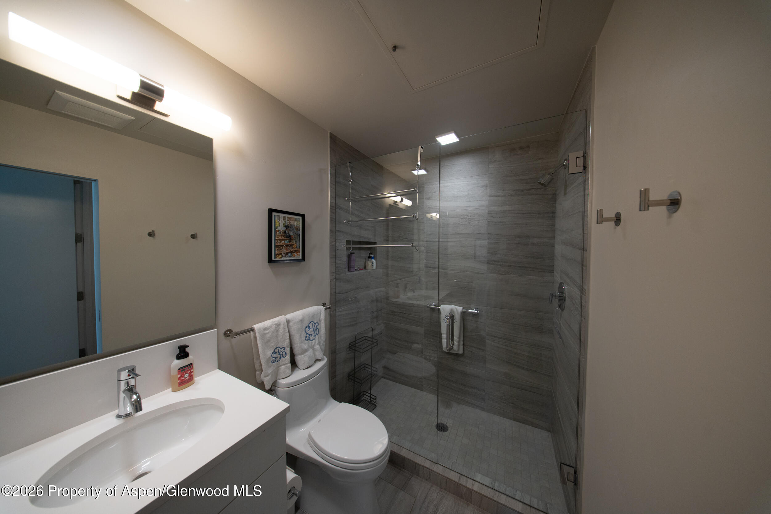 102 Evans Road, Unit 101 Basalt, CO 81621 - Photo 10 of 15 guest bath