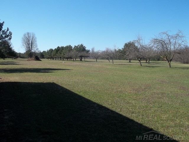 4288 Mortimer Line Road Croswell, MI 48422 - Photo 45 of 49 31285259-44.JPG