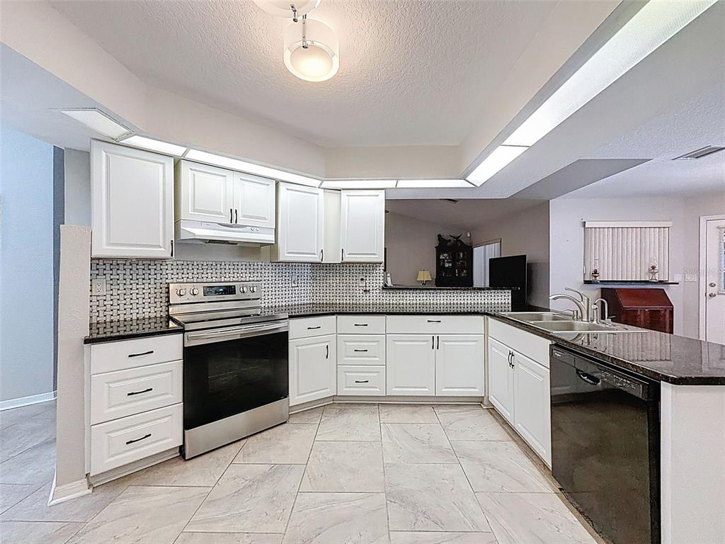 12923 Oak Nut Street Hudson, FL 34667 - Photo 2 of 39