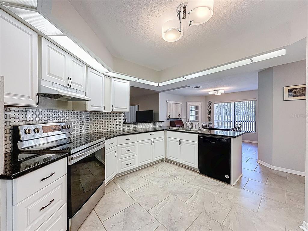 12923 Oak Nut Street Hudson, FL 34667 - Photo 3 of 39