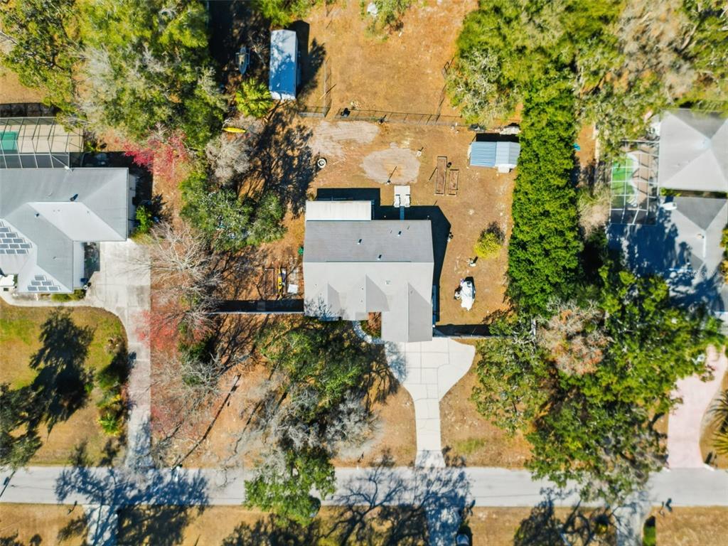 12923 Oak Nut Street Hudson, FL 34667 - Photo 33 of 39