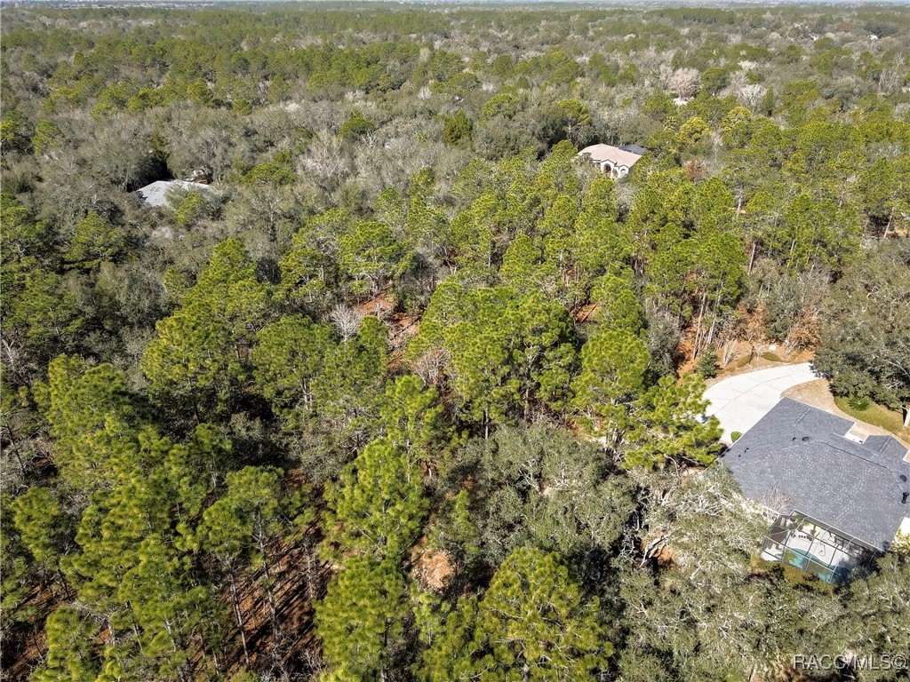3905 North Longvalley Road Hernando, FL 34442 - Photo 11 of 12