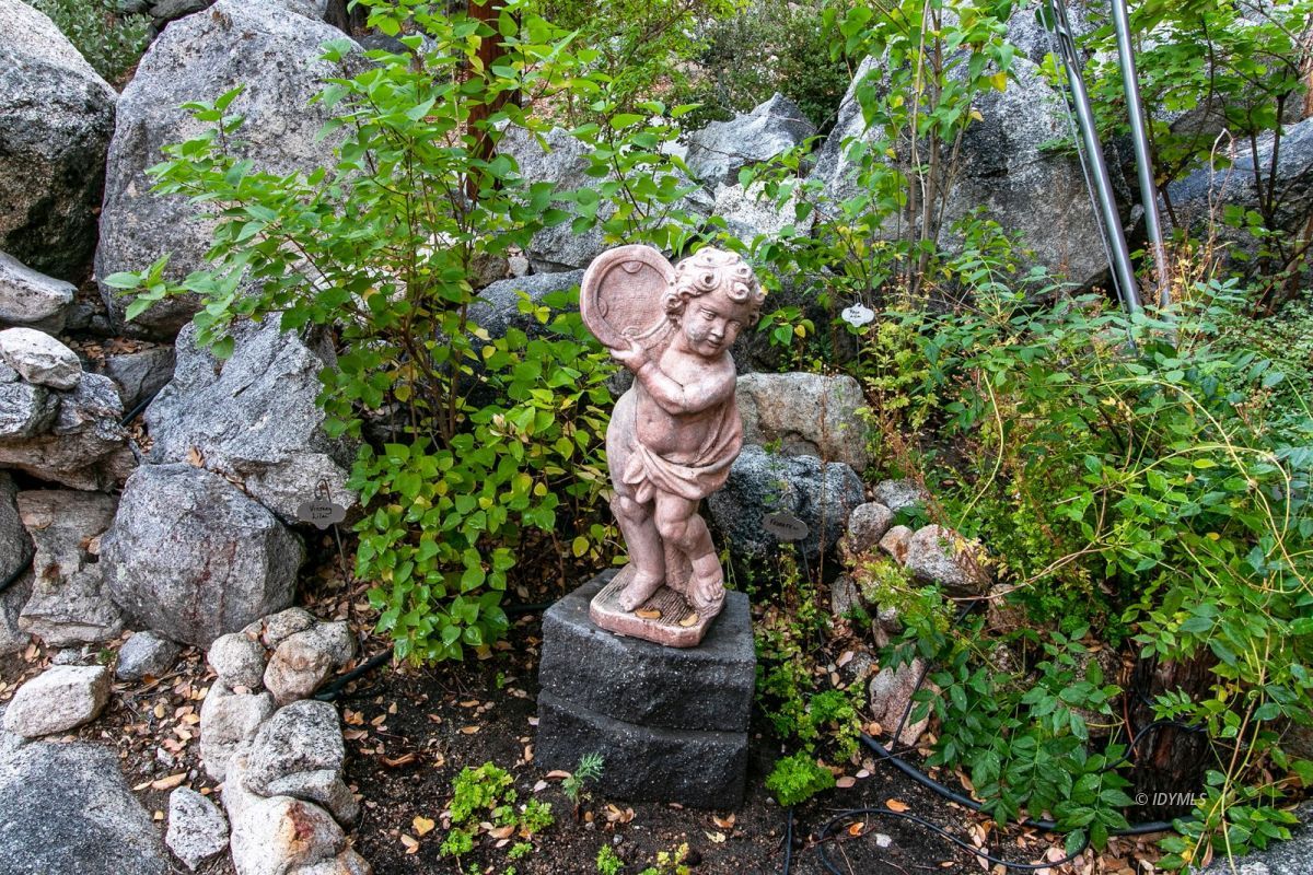 24715 Upper Rim Rock Road Idyllwild, CA 92549 - Photo 62 of 64 a view of statue in a garden