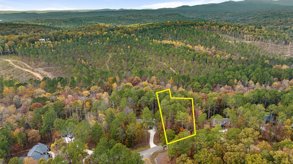 Lot 65 Bridge Road Ellijay, GA 30540 - Photo 1 of 16 Main View