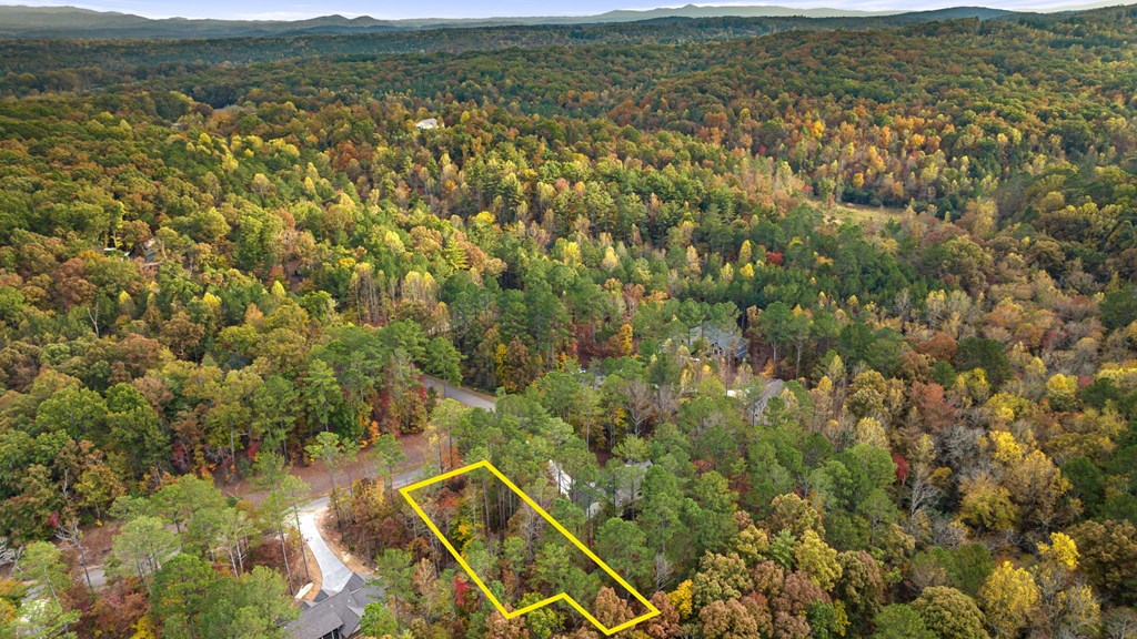 Lot 65 Bridge Road Ellijay, GA 30540 - Photo 11 of 16 Gallery Image 11