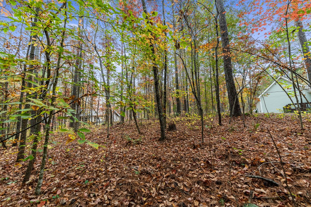 Lot 65 Bridge Road Ellijay, GA 30540 - Photo 3 of 16 Gallery Image 3