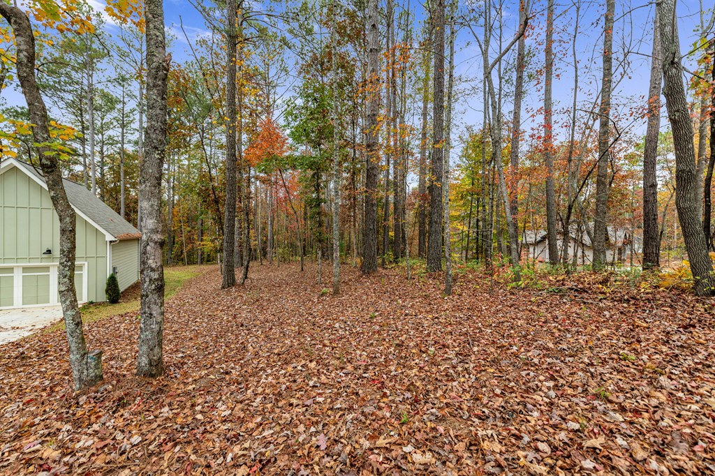 Lot 65 Bridge Road Ellijay, GA 30540 - Photo 5 of 16 Gallery Image 5