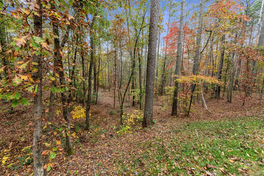 Lot 65 Bridge Road Ellijay, GA 30540 - Photo 7 of 16 Gallery Image 7
