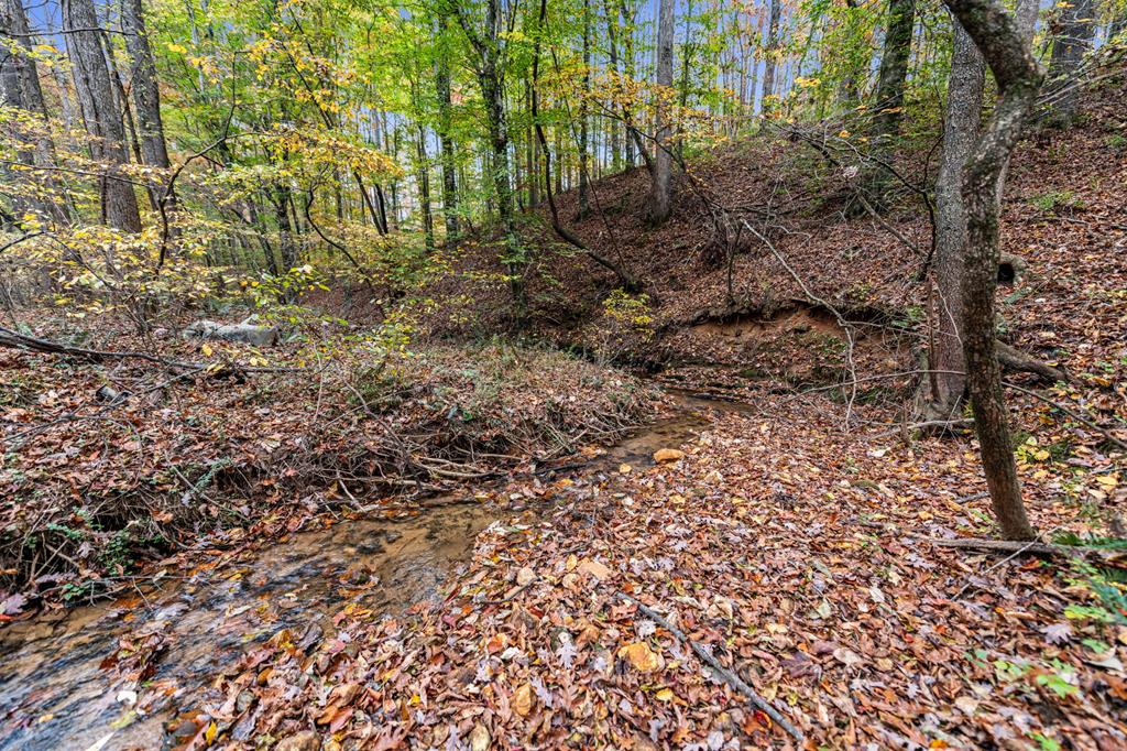 Lot 65 Bridge Road Ellijay, GA 30540 - Photo 8 of 16 Gallery Image 8
