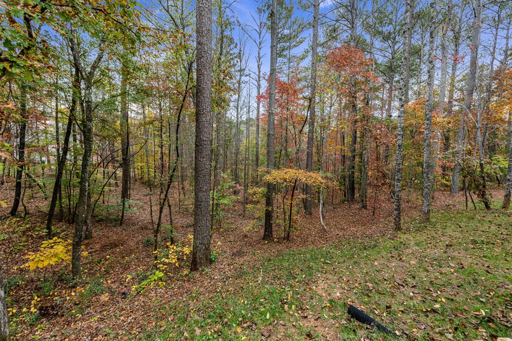Lot 65 Bridge Road Ellijay, GA 30540 - Photo 9 of 16 Gallery Image 9