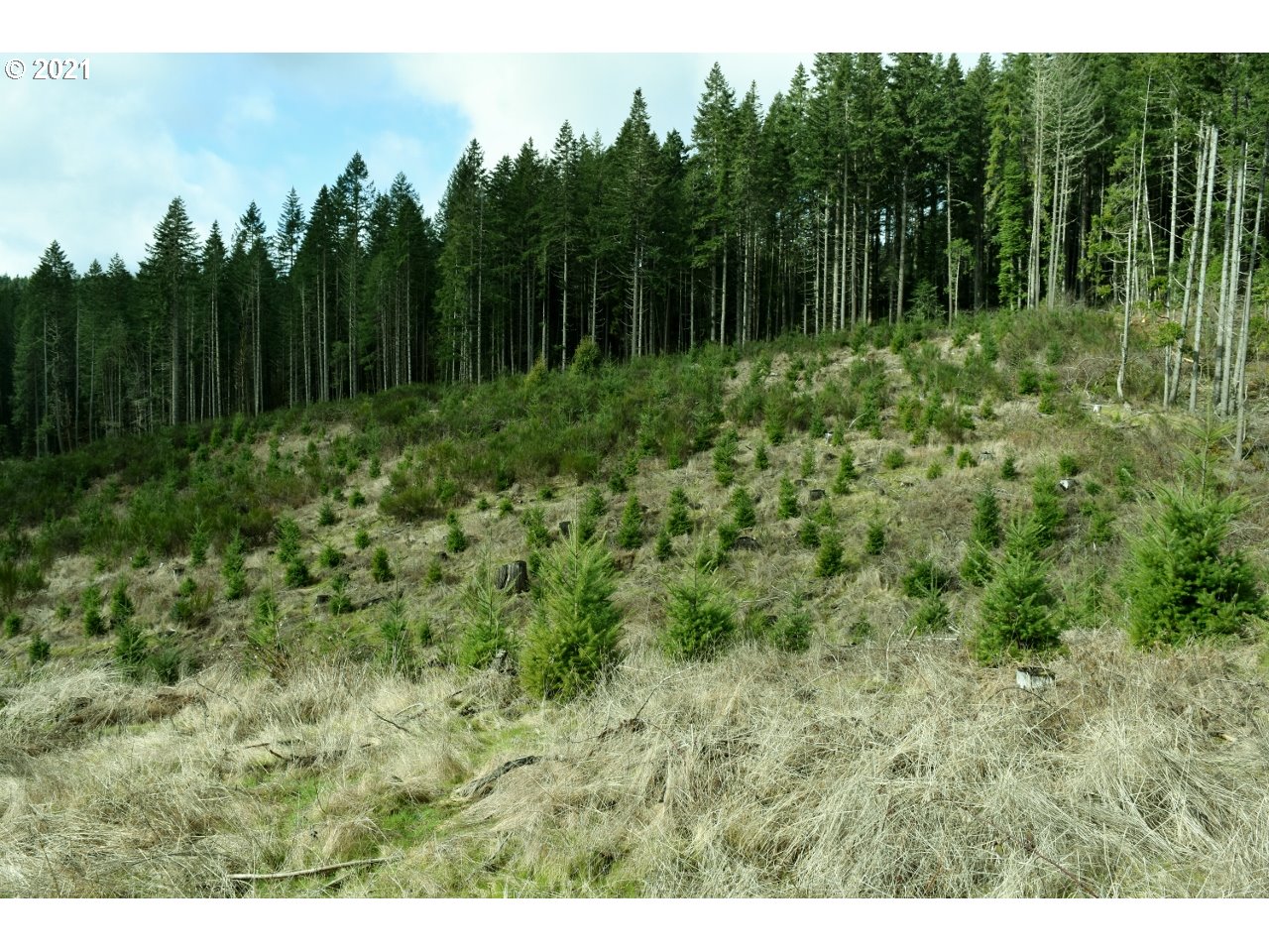 Gowdyville Road, Unit TL300 Cottage Grove, OR 97424 - Photo 14 of 30 Gallery Image 14