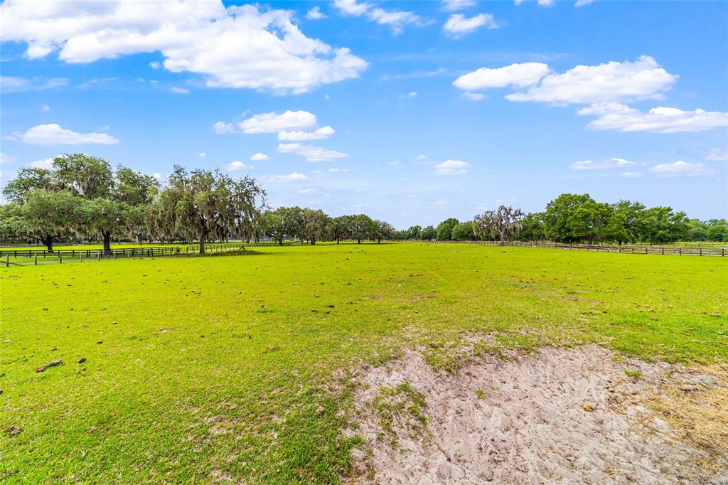 2285 West Highway 318 Citra, FL 32113 - Photo 87 of 91