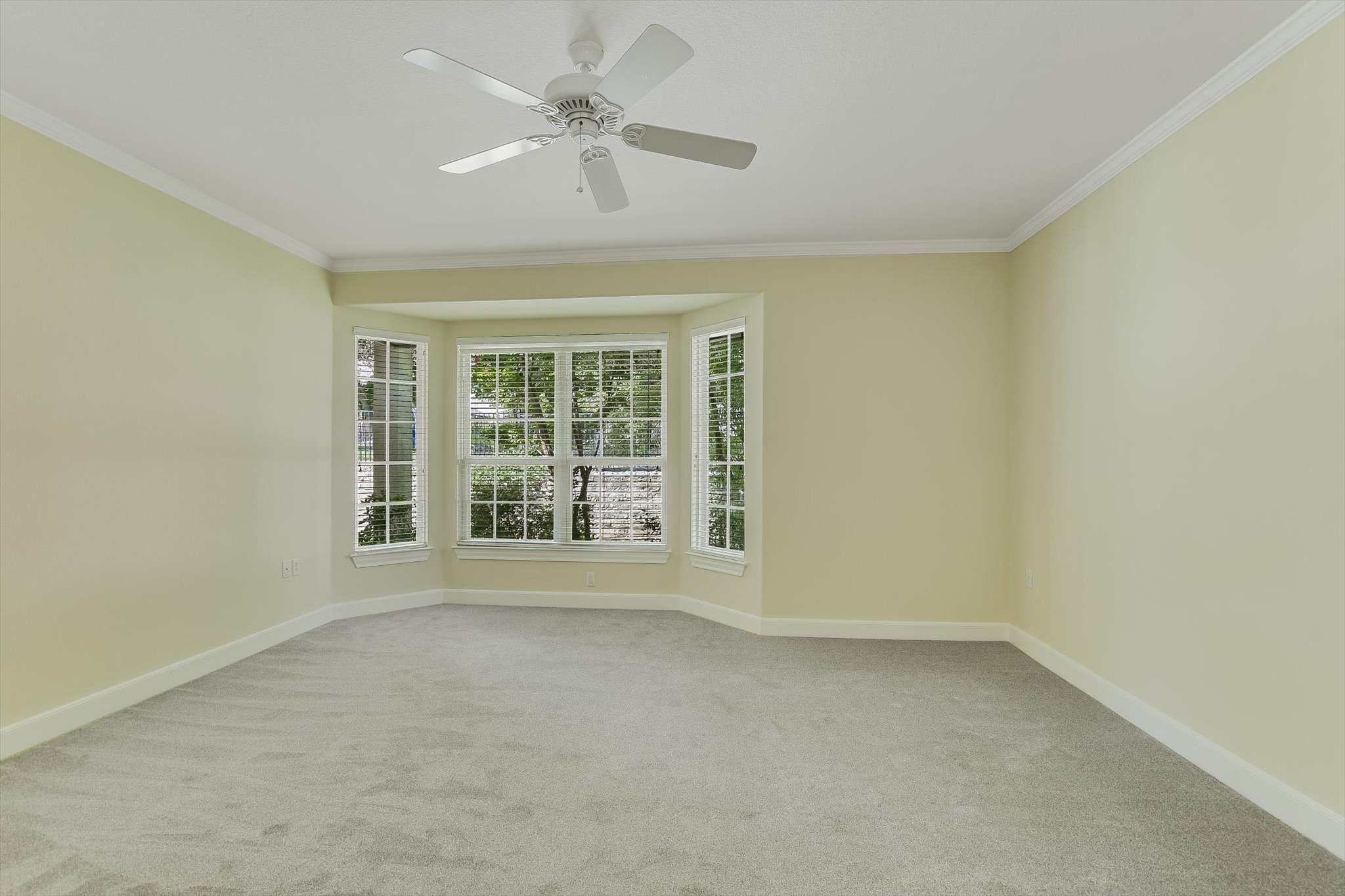 603 Rio Grande Loop Georgetown, TX 78633 - Photo 13 of 27 Spare room featuring light colored carpet, ornamental molding, and ceiling fan