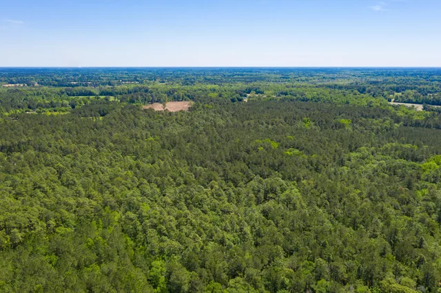 $431,250 | 0 Old Spell Road, St. George, SC 29477