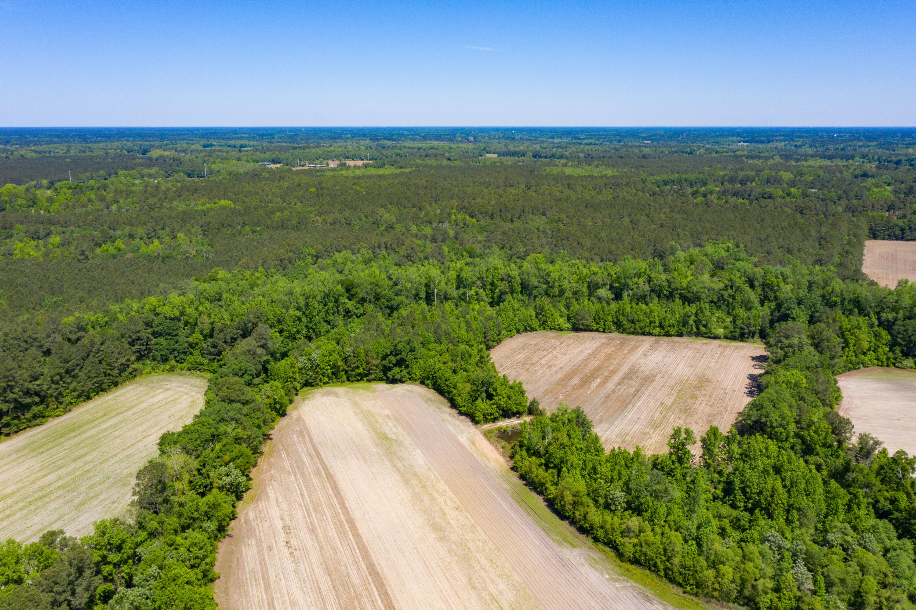 0 Old Spell Road St. George, SC 29477 - Photo 17 of 28 EYE-9363