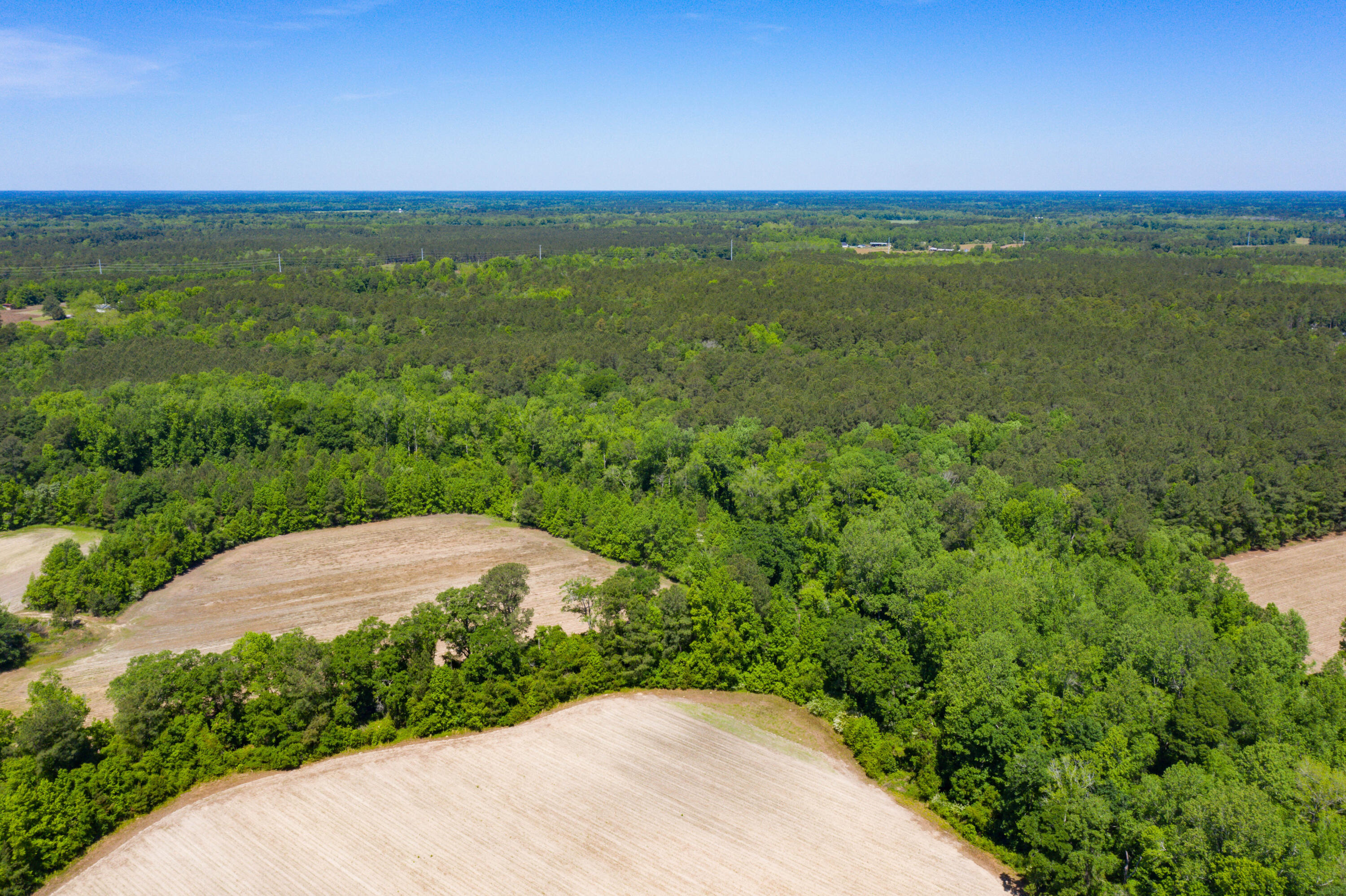 0 Old Spell Road St. George, SC 29477 - Photo 18 of 28 EYE-9364