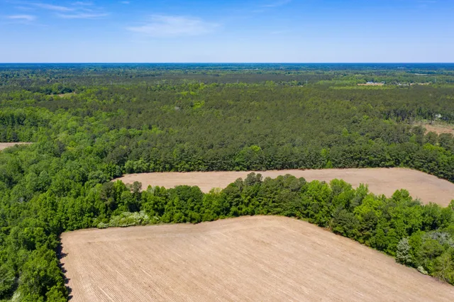 $431,250 | 0 Old Spell Road, St. George, SC 29477