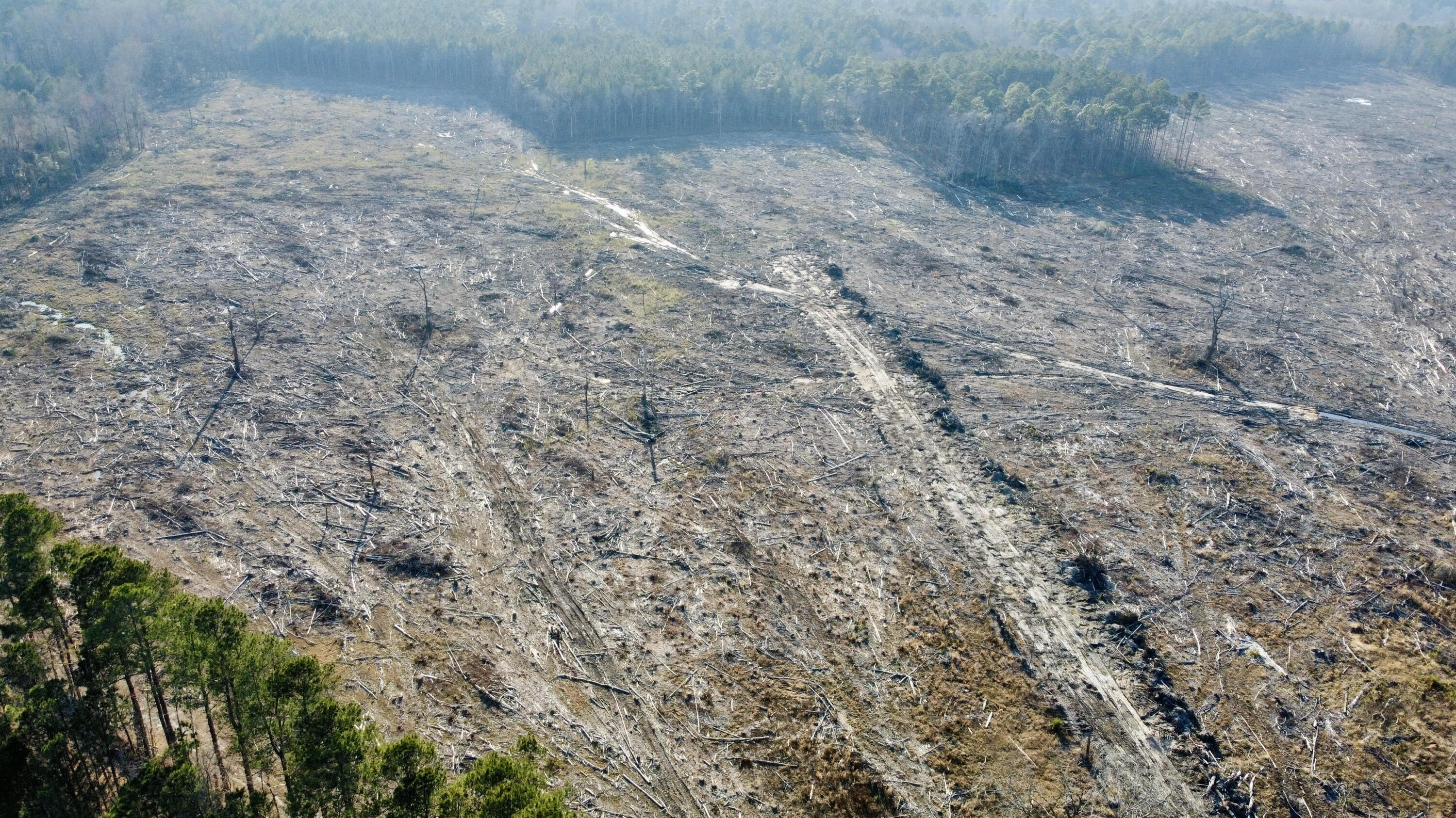 0 Old Spell Road St. George, SC 29477 - Photo 21 of 28 unnamed (3)