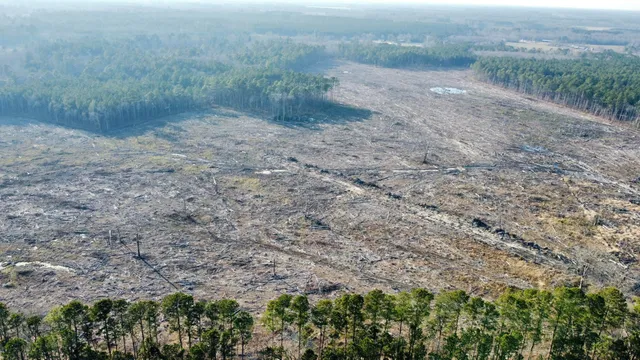 $431,250 | 0 Old Spell Road, St. George, SC 29477