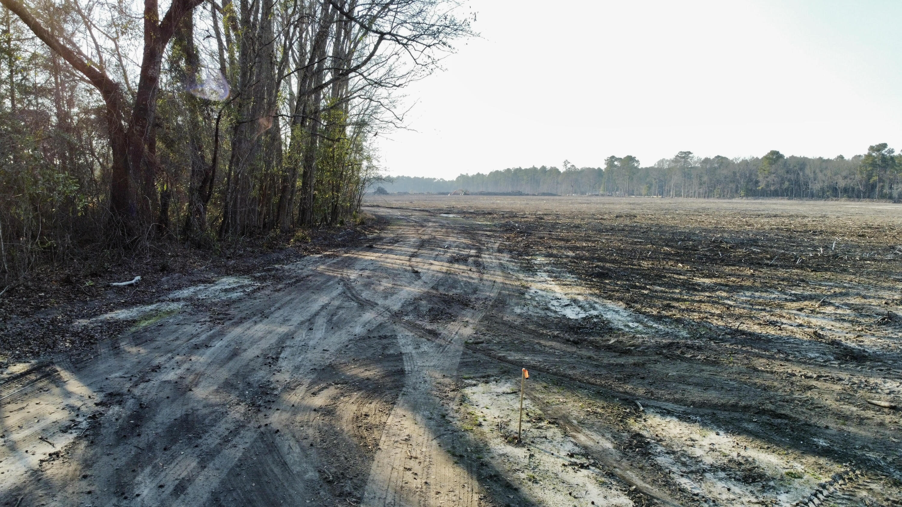 0 Old Spell Road St. George, SC 29477 - Photo 26 of 28 unnamed (9)