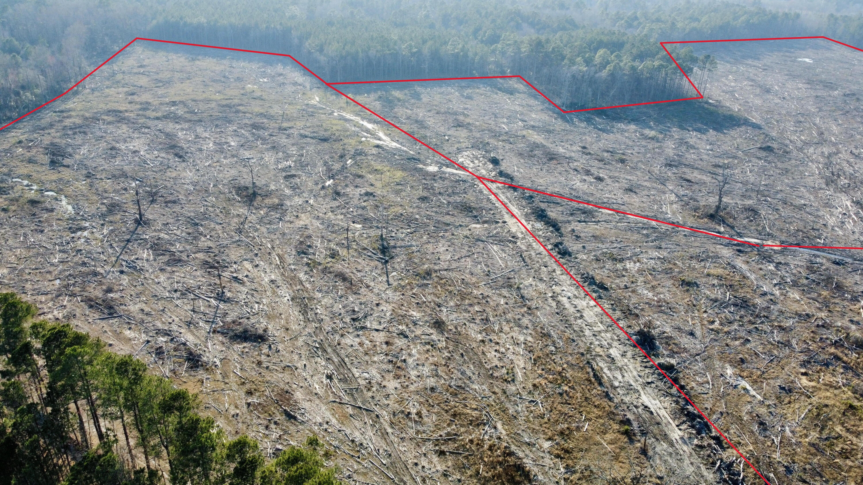 0 Old Spell Road St. George, SC 29477 - Photo 28 of 28 unnamed (13)