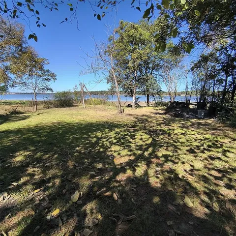 a view of a lake with a tree