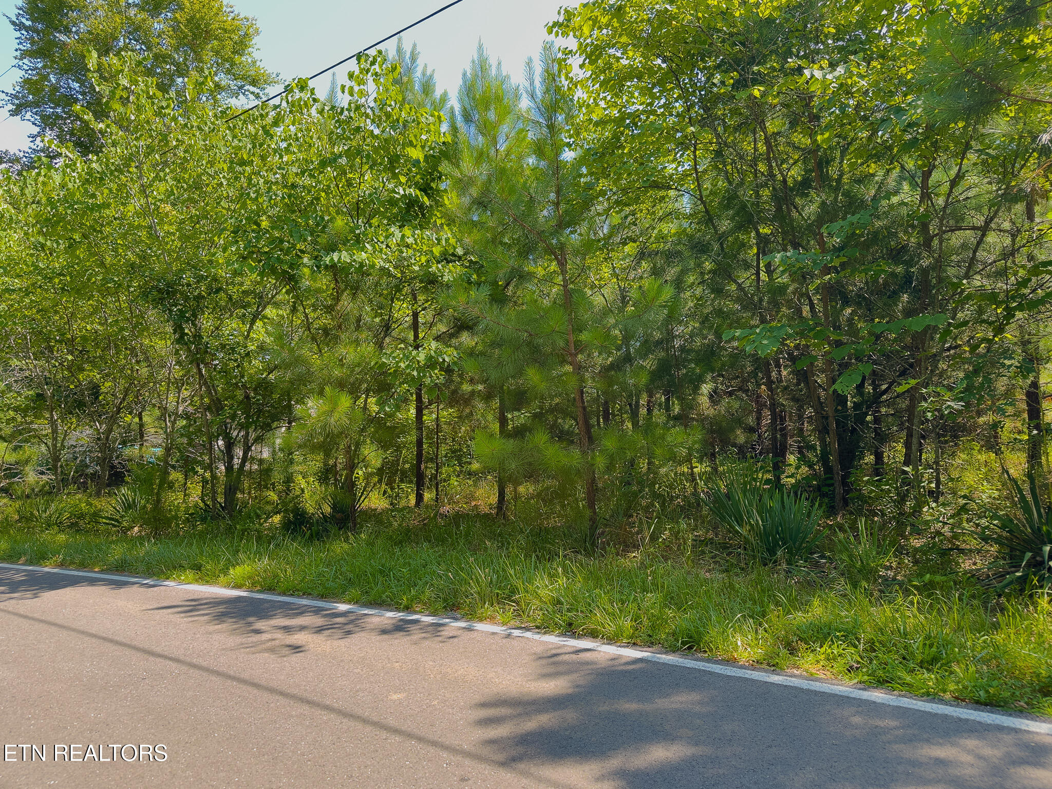 55-56 Lillydale Road Byrdstown, TN 38549 - Photo 2 of 9 Street View