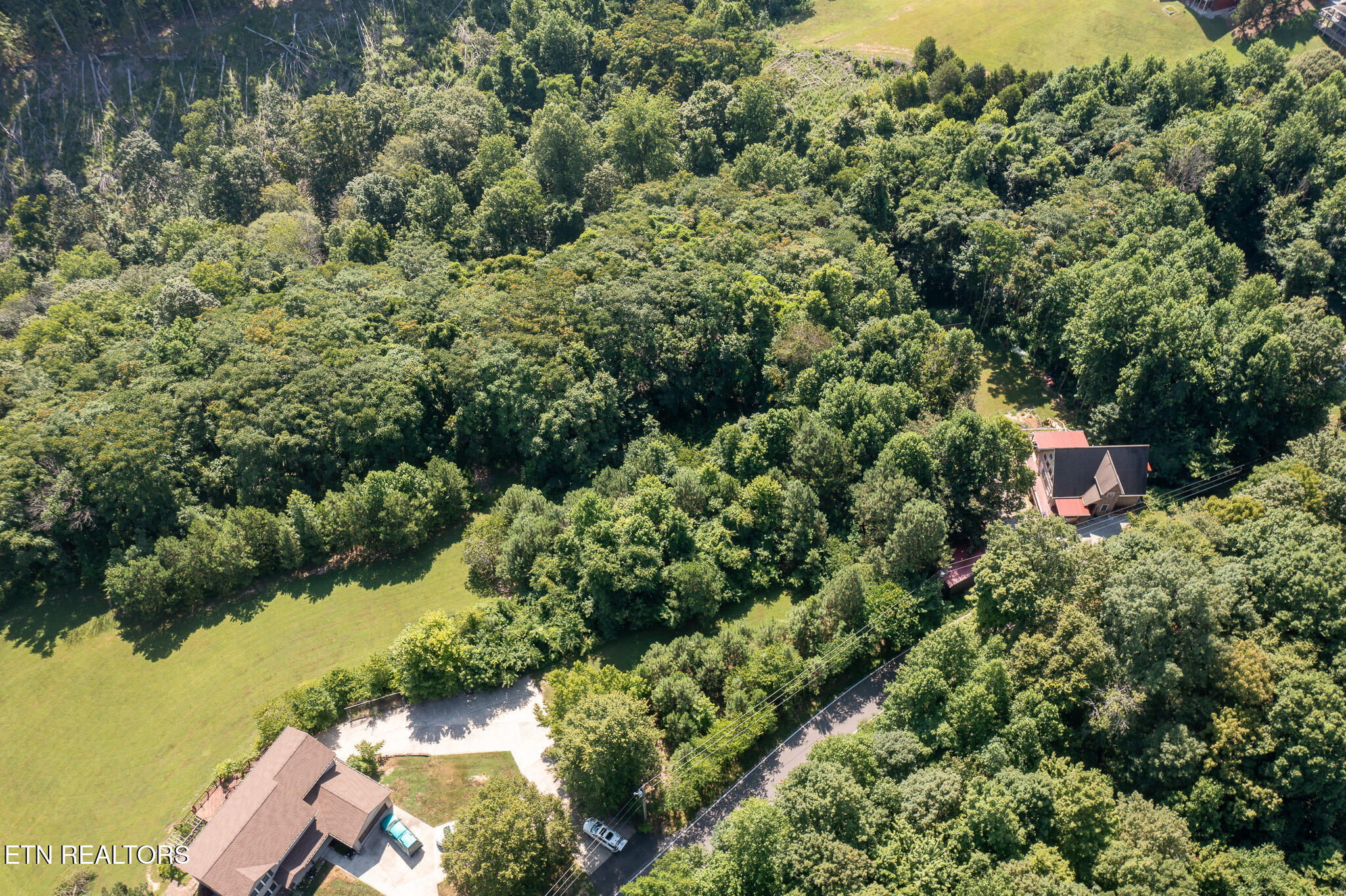 55-56 Lillydale Road Byrdstown, TN 38549 - Photo 6 of 9 Lot Close Up 2-HDR
