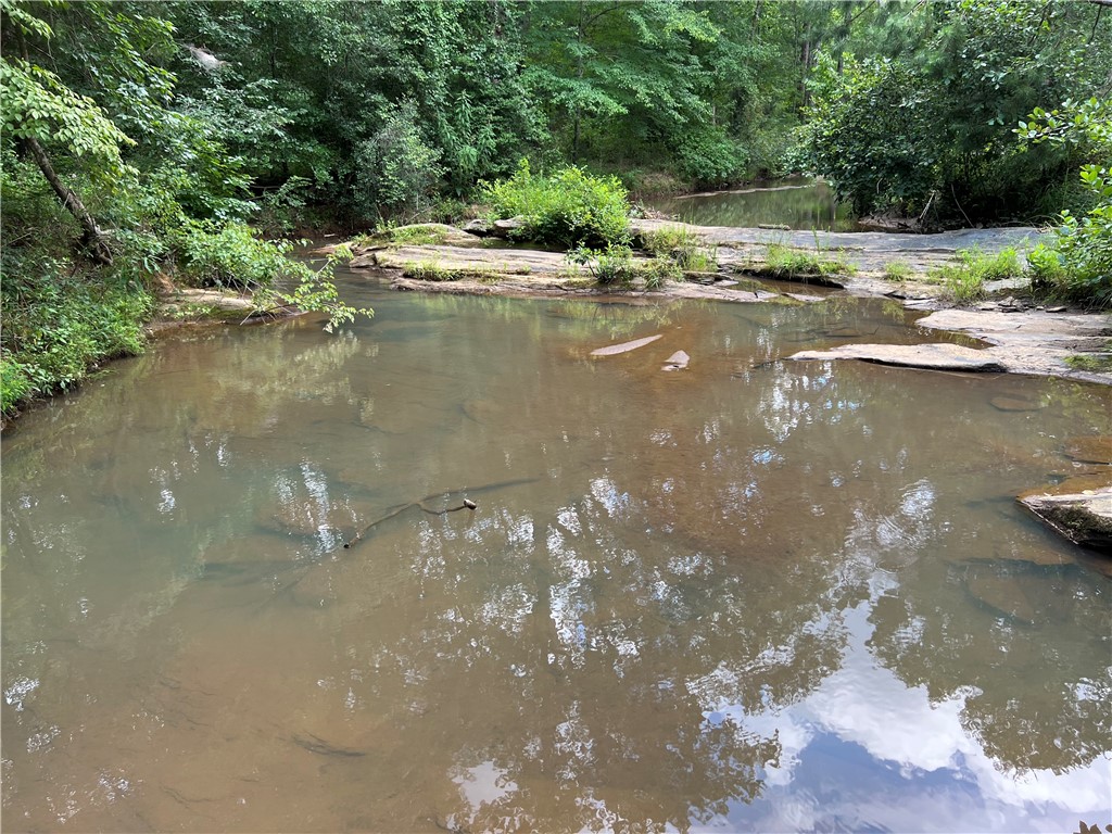 0 Six And Twenty Road Pendleton, SC 29670 - Photo 11 of 20
