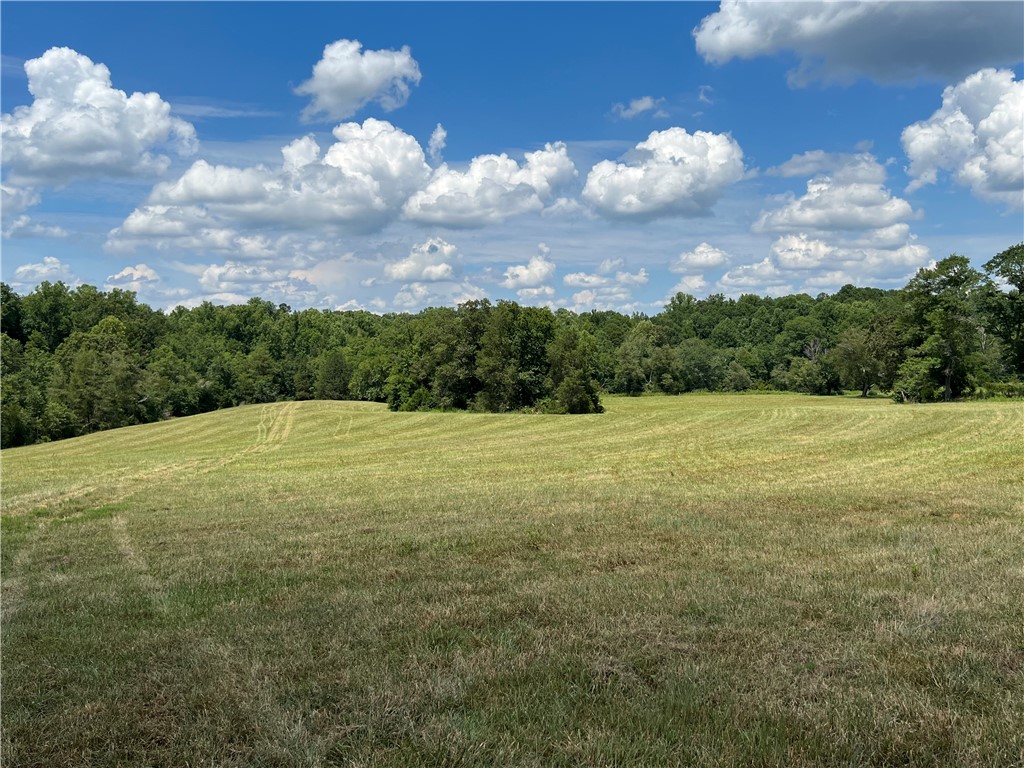 0 Six And Twenty Road Pendleton, SC 29670 - Photo 14 of 20