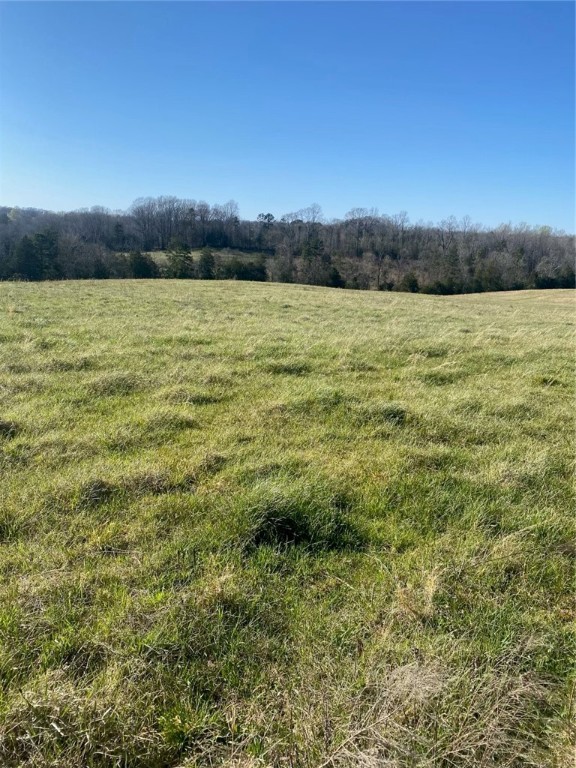 0 Six And Twenty Road Pendleton, SC 29670 - Photo 18 of 20