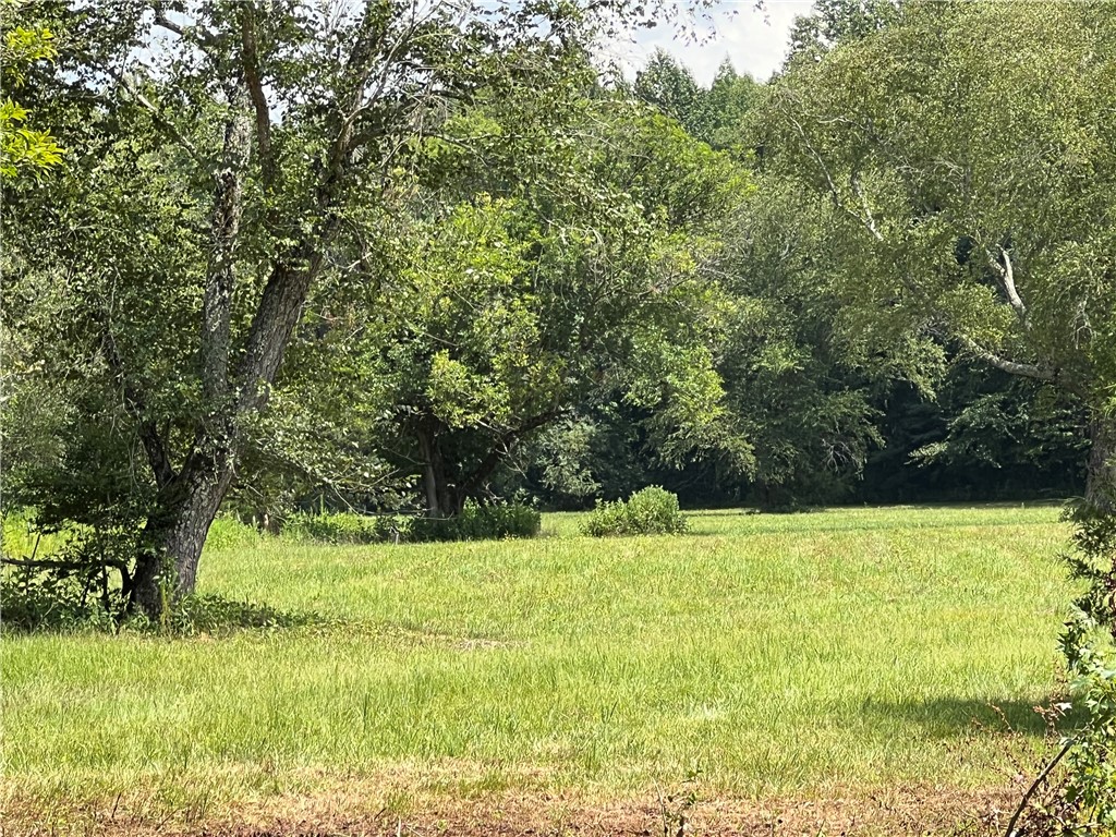 0 Six And Twenty Road Pendleton, SC 29670 - Photo 9 of 20