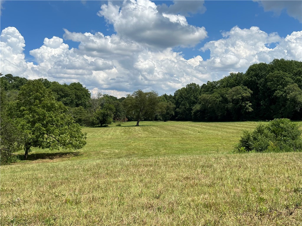 0 Six And Twenty Road Pendleton, SC 29670 - Photo 10 of 20