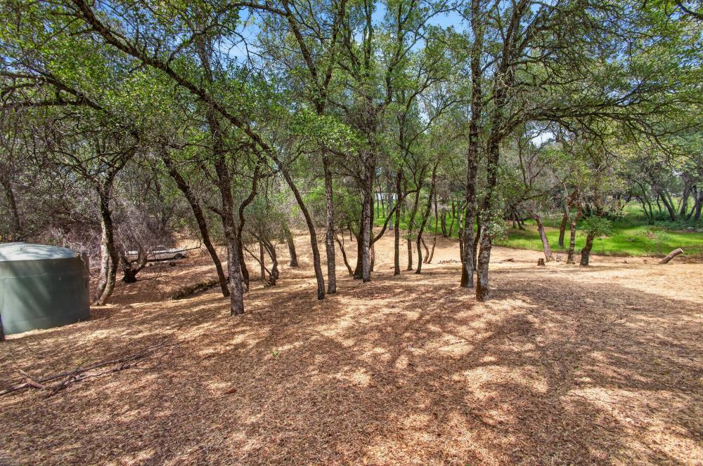 14428 Garden Bar Road Grass Valley, CA 95949 - Photo 4 of 80
