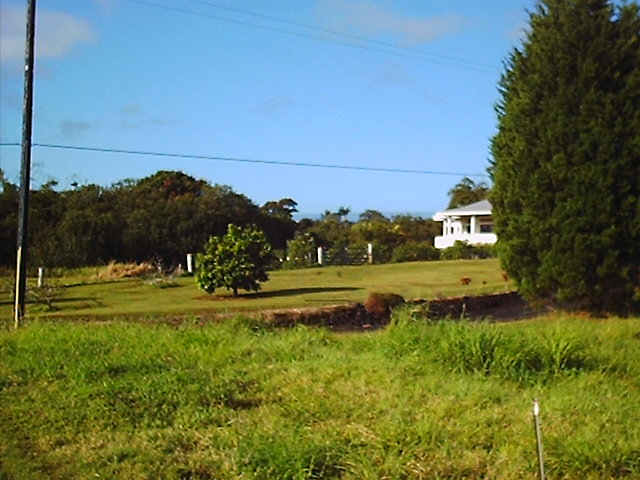 Kaiwiki Homestead Road Hilo, HI 96720 - Photo 7 of 8 a view of a yard