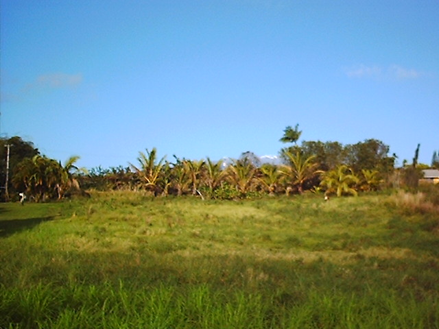 Kaiwiki Homestead Road Hilo, HI 96720 - Photo 8 of 8 a view of a big yard with large trees