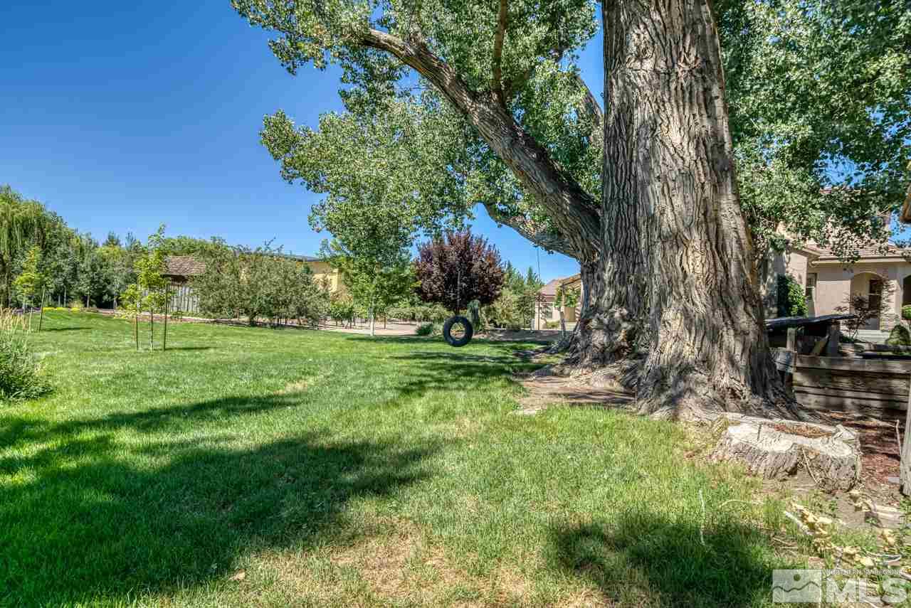 10049 Casazza Ranch Lane Reno, NV 89511 - Photo 35 of 40 a view of a garden with a tree