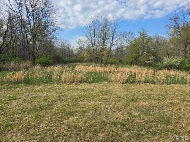 $6,500 | 0 Beech Street, Shipman, IL 62685