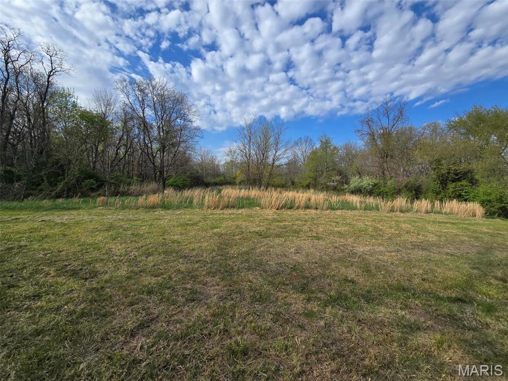 0 Beech Street Shipman, IL 62685 - Photo 3 of 11