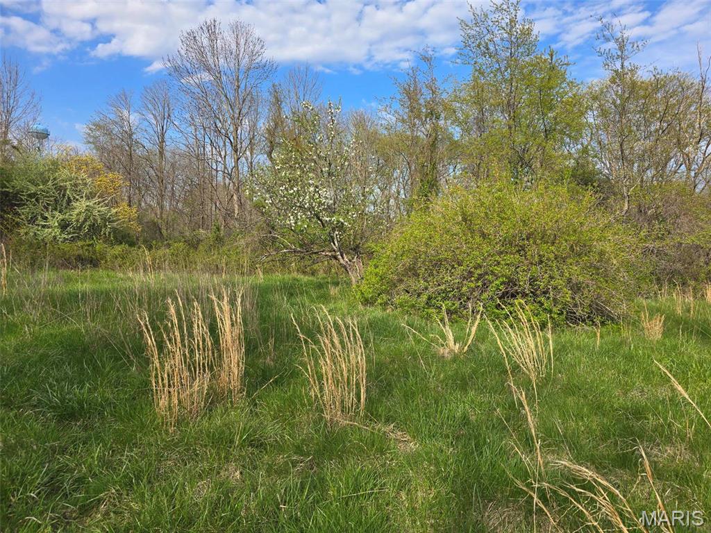 0 Beech Street Shipman, IL 62685 - Photo 4 of 11