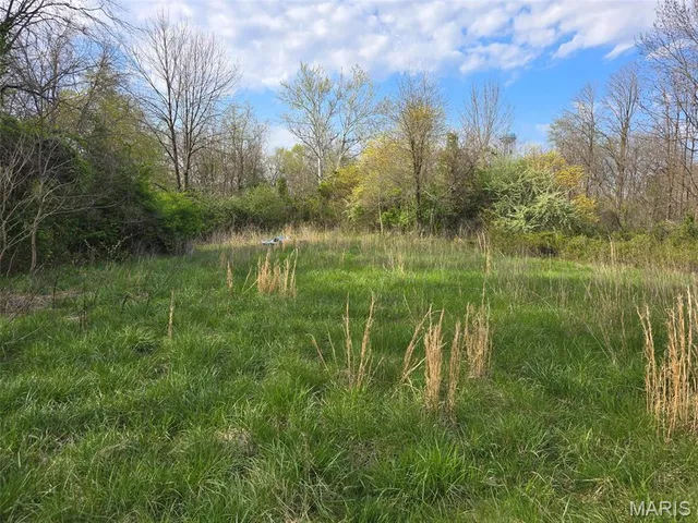 $6,500 | 0 Beech Street, Shipman, IL 62685