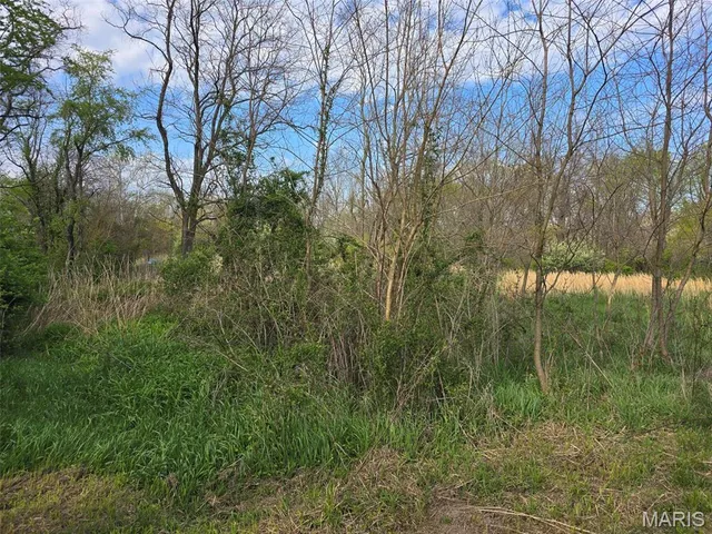 $6,500 | 0 Beech Street, Shipman, IL 62685