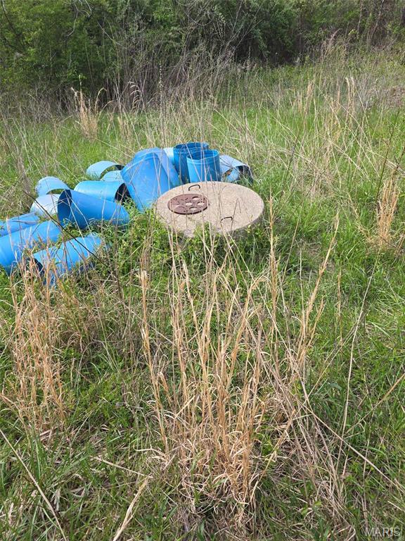 0 Beech Street Shipman, IL 62685 - Photo 7 of 11