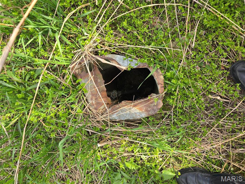 0 Beech Street Shipman, IL 62685 - Photo 8 of 11