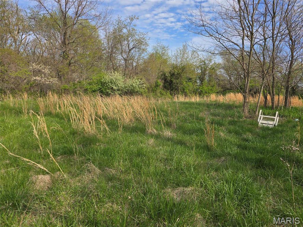 0 Beech Street Shipman, IL 62685 - Photo 9 of 11