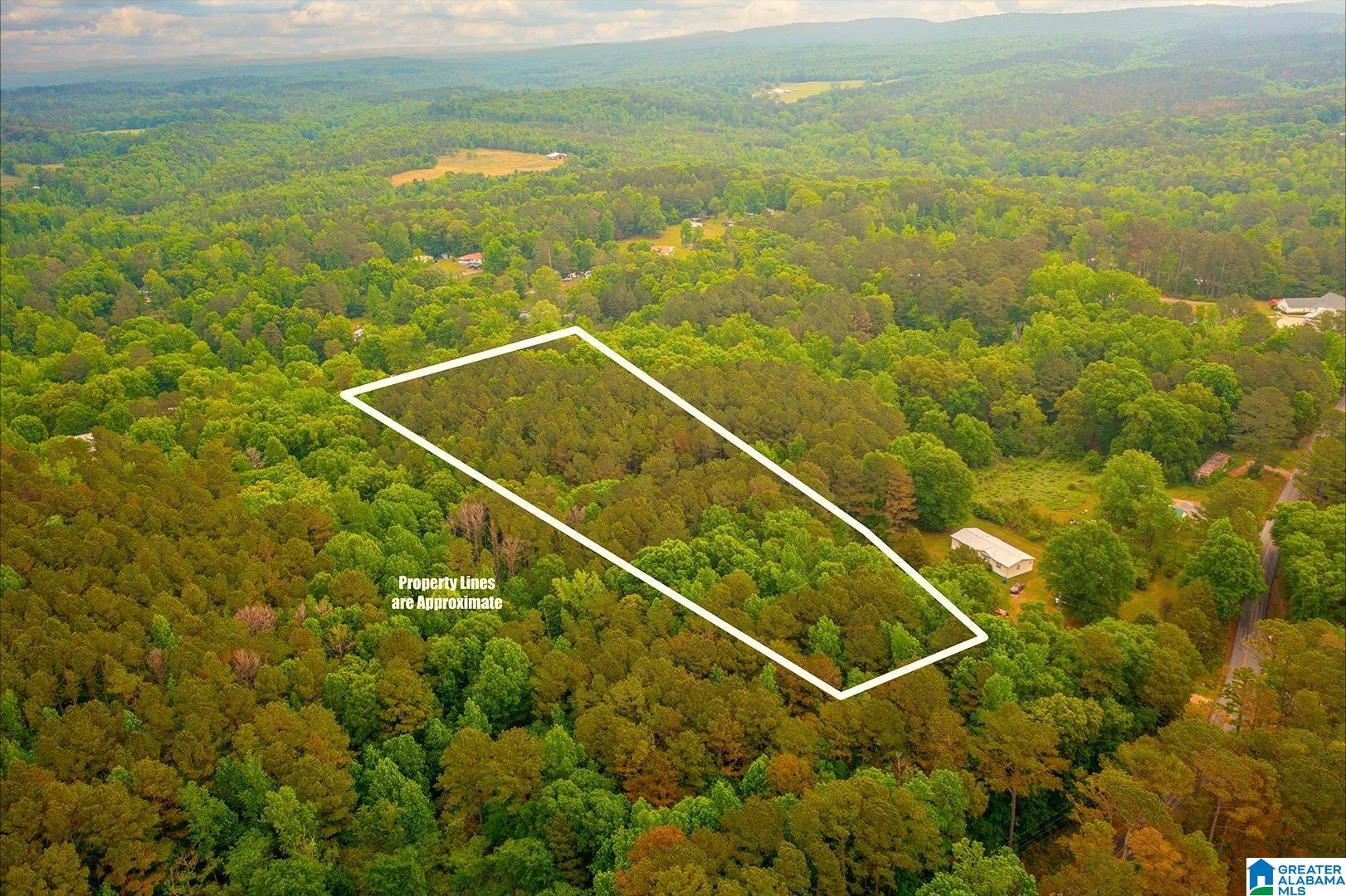 0 Spunky Hollow Road, Unit 1 Trafford, AL 35172 - Photo 3 of 14 Gallery Image 3