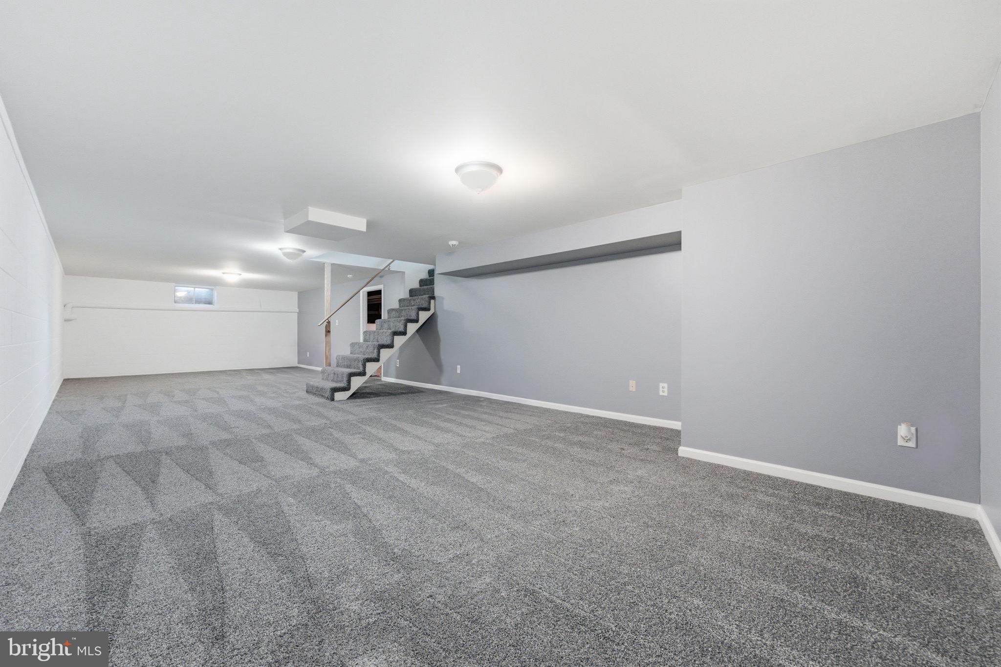 18 East Brook Knoll Road Elkton, MD 21921 - Photo 36 of 51 Finished Basement