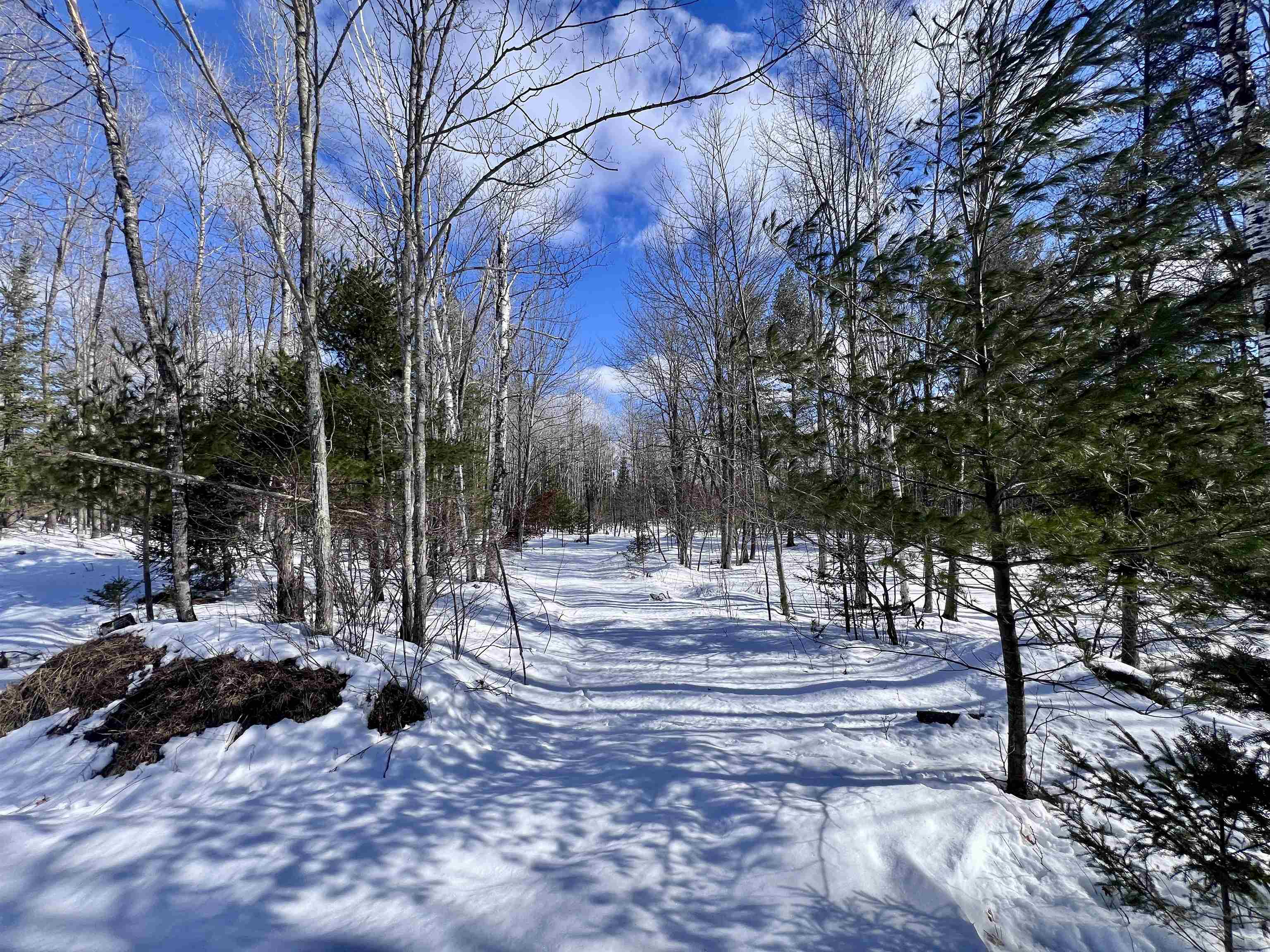 Nejedlo Road, Unit 7 Wausaukee, WI 54177 - Photo 3 of 8
