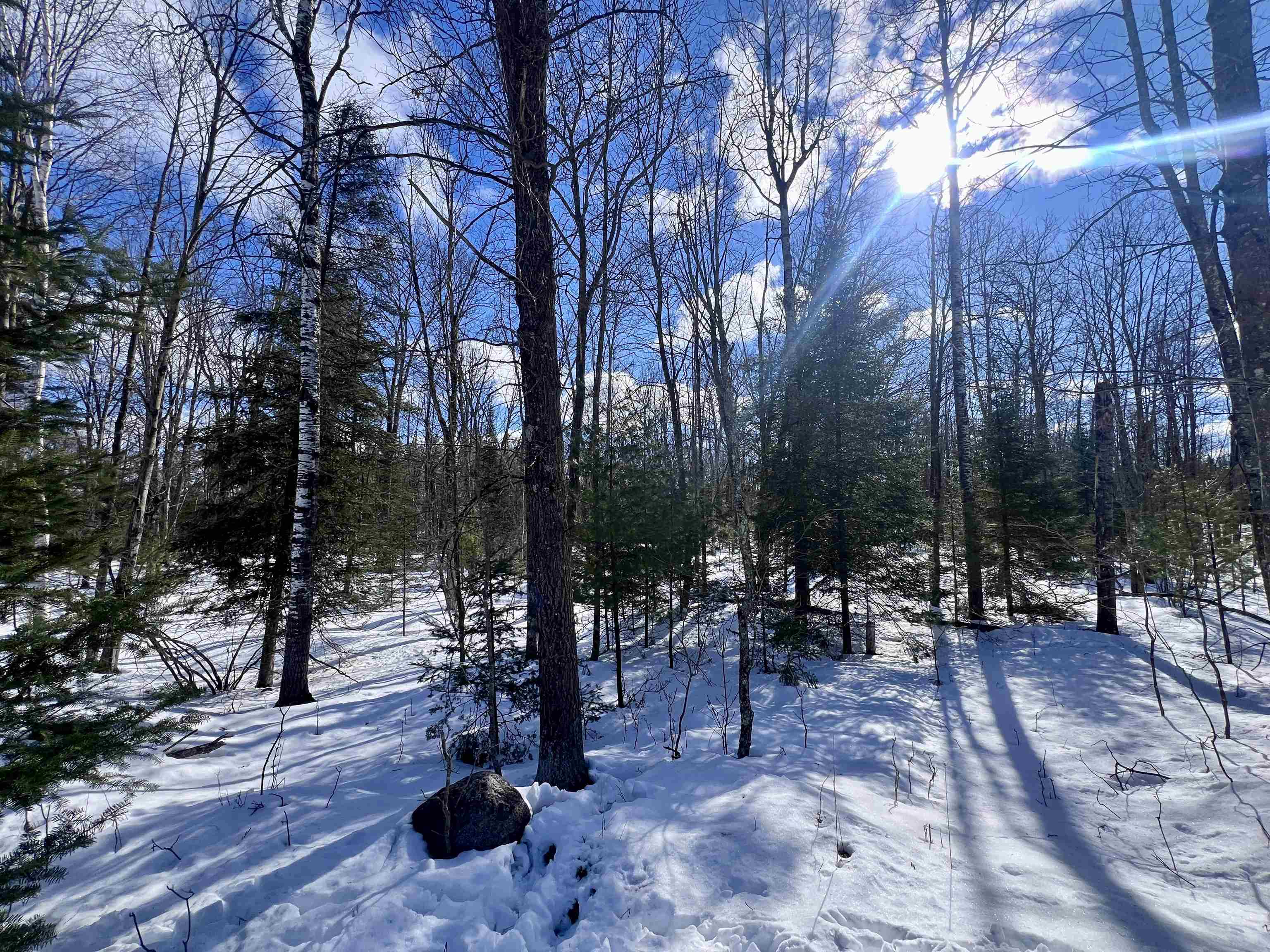Nejedlo Road, Unit 7 Wausaukee, WI 54177 - Photo 5 of 8